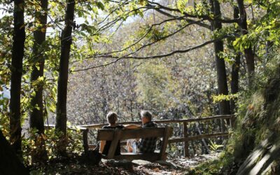 Rinnovo logo del Patriziato di Contra